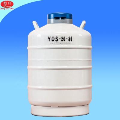 YDS10 Cryogenic Liquid Nitrogen Container Supplier