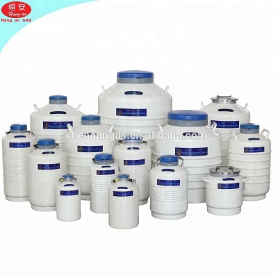 6 L Liquid Nitrogen Container Cryogenic LN2 Tank Dewar with Strap YDS-6